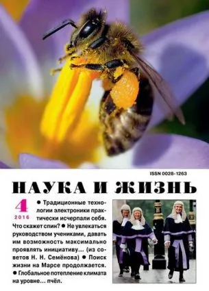 Журнали про здоров'я