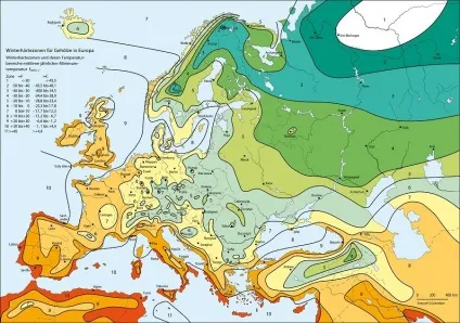 Зимостійкість і морозостійкість рослин