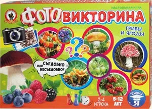 Зоологічна фотовікторіна «кішки і собаки» (кішки) Зоологічна фотовікторіна «кішки і собаки»