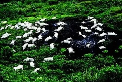 10 Самих страшних озер нашої планети