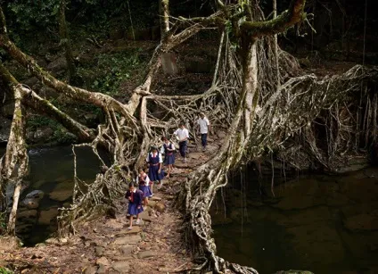 10 Фото, які доводять, що ходити в школу небезпечно для життя (Китай Фото Sipa) 10 Фото, які доводять, що ходити в школу небезпечно для життя