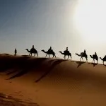 28 Цікавих фактів про щурів