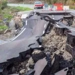 28 Цікавих фактів про щурів