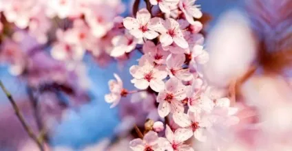 30 Прислів'їв і приказок, в яких вся мудрість сходу (звичайних людей буває великих) 30 Прислів'їв і приказок, в яких вся мудрість сходу