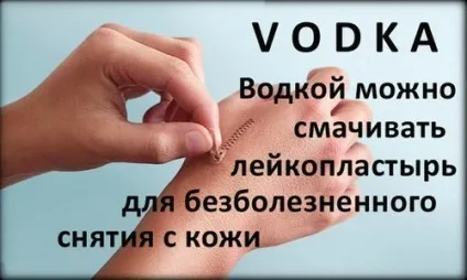 25 Варіантів використання горілки не за призначенням! Є горілка в будинку означає, ви захищені! (Варіантів) 25 Варіантів використання горілки не за призначенням! Є горілка в будинку означає, ви захищені!