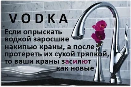 25 Варіантів використання горілки не за призначенням! Є горілка в будинку означає, ви захищені! (Є) 25 Варіантів використання горілки не за призначенням! Є горілка в будинку означає, ви захищені!