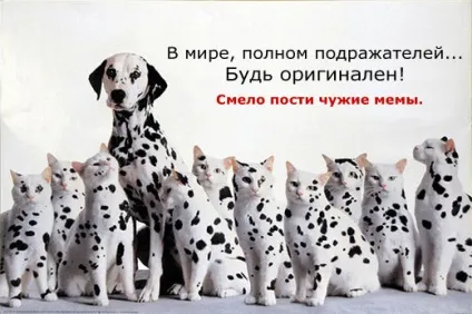17 надихаючі цитати з подальшим викриттям, точка зборки, vothouse