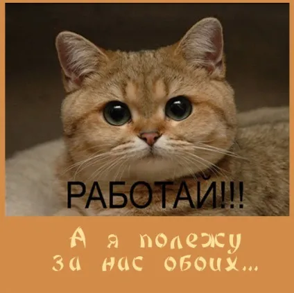 17 надихаючі цитати з подальшим викриттям, точка зборки, vothouse
