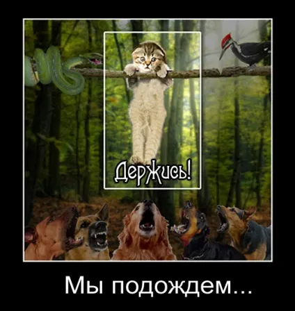 17 надихаючі цитати з подальшим викриттям, точка зборки, vothouse