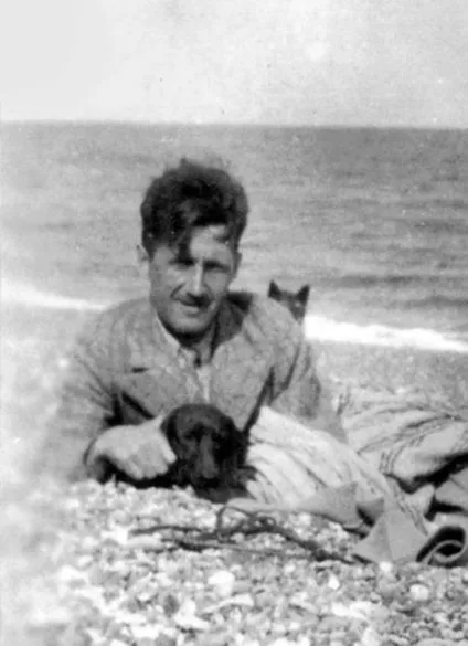 18 Чудових фотографій котиків, у яких були свої письменники і поети (були) 18 Чудових фотографій котиків, у яких були свої письменники і поети