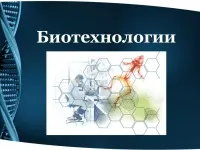 997 Презентації на тему біотехнології на (скачати презентації на тему біотехнології) 997 Презентації на тему біотехнології на
