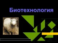 997 Презентації на тему біотехнології на (біотехнології використовуючи методи) 997 Презентації на тему біотехнології на