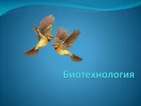 997 Презентації на тему біотехнології на (біотехнології використовуючи методи таких) 997 Презентації на тему біотехнології на