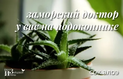 Алое для обличчя та волосся, блог Ірини Зайцевої (особи) Алое для обличчя та волосся, блог Ірини Зайцевої