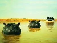 Анекдоти про собак псів, Анегдоти про собачок псів цуценят, анекдоти про тварин кобель сучка