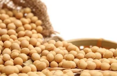 Амінокислота лейцин, властивості, надлишок і недолік, лейцин в продуктах