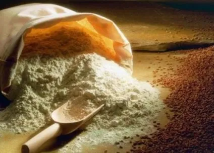 Амбарний кліщ небезпечний шкідник продуктів (шкідник) Амбарний кліщ небезпечний шкідник продуктів