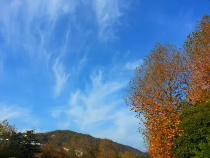 Оренда житла в хості
