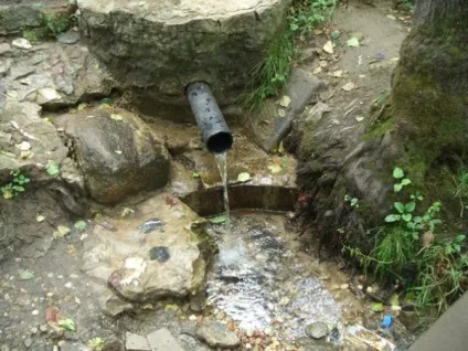 А чи знаєте ви, що в Бутові є джерела (Воду цих джерел рекомендується) А чи знаєте ви, що в Бутові є джерела