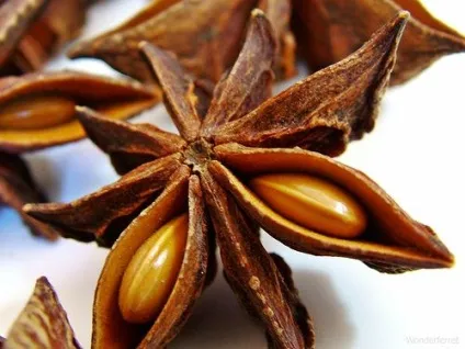 Бадьян (star anise)