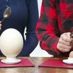 Все про несучості страусів і їх унікальних продуктах - страусиних яйцях (продуктах) Все про несучості страусів і їх унікальних продуктах - страусиних яйцях