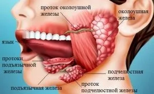 Запалення під'язикової слинної залози лікування (запалення) Запалення під'язикової слинної залози лікування