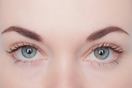 Всі відтінки палетки smokey eye drama kit max factor, beauty insider (всі відтінки) Всі відтінки палетки smokey eye drama kit max factor, beauty insider