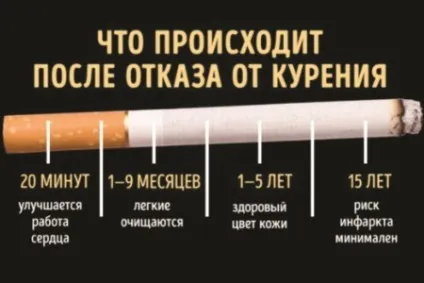 Відновлення легких після куріння коли очищається орган (відновлення легкі куріння орган) Відновлення легких після куріння коли очищається орган
