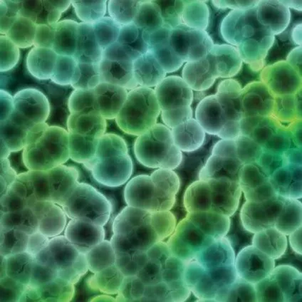 Все про воду, екологія