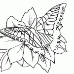 Безкоштовні картинки для друку (картинки) Безкоштовні картинки для друку