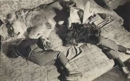 Берберови трагедія 1980 року