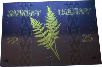 Белоукраінскій паспорт серія, номер, отримання, обмін (белоукраінскій) Белоукраінскій паспорт серія, номер, отримання, обмін