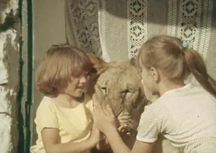 Берберови трагедія 1980 року