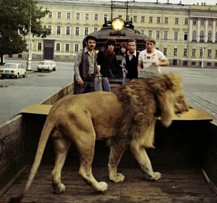 Берберови трагедія 1980 року