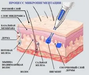 Чи боляче робити татуаж огляд анестетиків (робити) Чи боляче робити татуаж огляд анестетиків