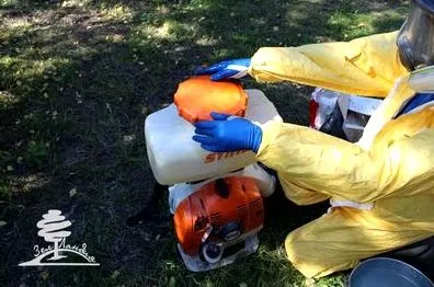 Боротьба з комарами на дачі різними способами