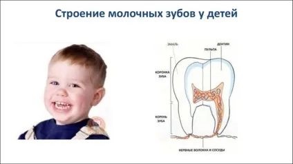 Болять молочні зуби у дітей чому може хворіти тимчасовий зуб у дитини і що робити (зуби) Болять молочні зуби у дітей чому може хворіти тимчасовий зуб у дитини і що робити