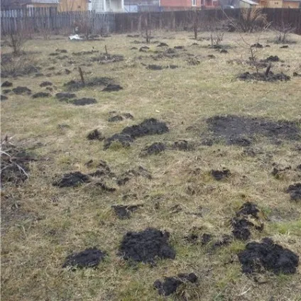 Боротьба з кротами
