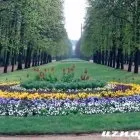 Бронюємо екскурсію в рейхстаг безкоштовно (екскурсію) Бронюємо екскурсію в рейхстаг безкоштовно