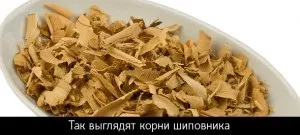 Цілюща сила шипшини, азбука здоров'я (Застосування ягід шипшини) Цілюща сила шипшини, азбука здоров'я
