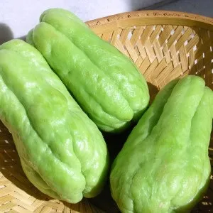 Чайот (мексиканський огірок) користь і шкода, food and health