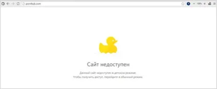 Браузер супутник - можливості, як завантажити з офіційного сайту, відгуки користувачів