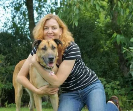 Бродячий пес зачарував стюардесу і вона забрала його до себе додому (зачарував) Бродячий пес зачарував стюардесу і вона забрала його до себе додому