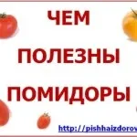 Чим корисні помідори