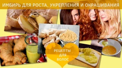 Чим корисний кульбаба для волосся