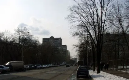 Чим відрізняється вулиця від проспекту (вулиця) Чим відрізняється вулиця від проспекту