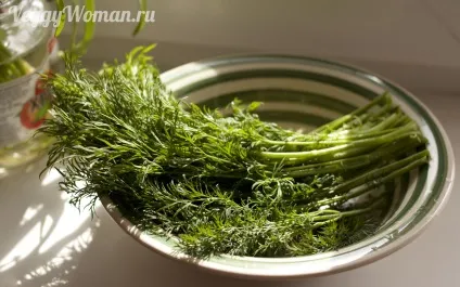 Чим корисний зелений кріп