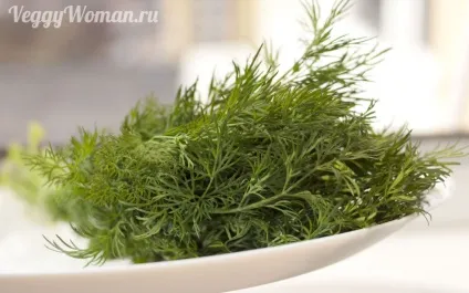 Чим корисний зелений кріп