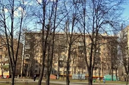 Чим відрізняється вулиця від проспекту (вулиця) Чим відрізняється вулиця від проспекту