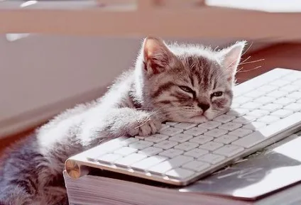 Чим зайнятися коли нудно як позбутися від нудьги (нудно) Чим зайнятися коли нудно як позбутися від нудьги